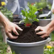什么样的土壤对花盆来说最好？