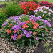 如果你想让“墨兰”在春天绽放花朵的话，你需要在哪些时候开始施肥？它们是否对特定的时间表有要求或偏好？