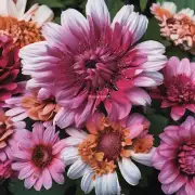 我们如何知道哪些花朵是毒性的以及它们对健康的影响是什么样的？