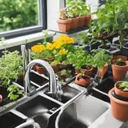 对于那些想要在家种植的人来说，你需要知道如何正确地浇水以确保植物健康成长。你还需要注意其他方面么？