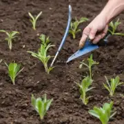 如何选择合适的土壤类型以保证良好的植物生长和产量？