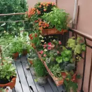 有没有一些简单易学的方法可以养好自己的花园或阳台上的绿植？