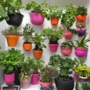 在室内种植时如何选择合适的花盆？