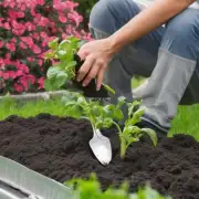 如果使用有机肥料，如何在不伤害植物的情况下进行施肥？