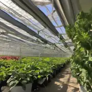 我们如何为那些不喜欢强烈的阳光照射下的植物提供适当的光线水平以保持它们健康茁壮成长？