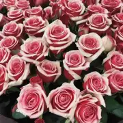 如果你想要送一束红玫瑰给一个女性朋友或家人，你会选择什么时间送上去呢？为什么？