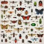 哪些类型的昆虫是被认为对人类有害或有危害性的？
