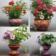 你认为卷柏最适合放在什么类型的花盆里？为什么呢？