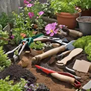 如果你想要在自己的花园里栽植一株厚面皮你首先得准备些什么工具或者材料呢？