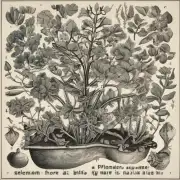 芦荟是植物吗？如果是的话它是否被称为其他名称或别名？