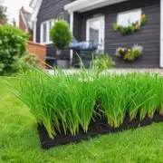 对于那些喜欢在家里种草的人来说有哪些易于管理且适合在家中养护的选择吗？