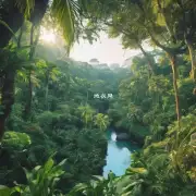 什么是丛林盆景？