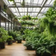 你是否知道哪些特定类型的观叶植物最适合于室内环境？