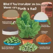 如果你没有在购买之前了解过哪种肥料对你的吊兰有益或者有害的话该怎么办呢？