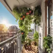 阳台上有多少阳光照射时间是理想的时间段供植物进行光合作用？