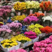 在一年中哪个季节是花卉市场的高峰期？