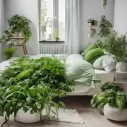 哪些绿色植物能够净化空气并提高睡眠质量？