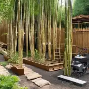 哪些工具或设备是必不可少的用于建造一座美丽的竹芋花园呢？