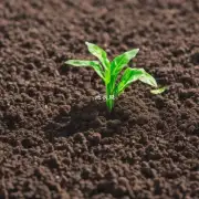 有哪些方法可以减少购买商业化肥料的需求呢？