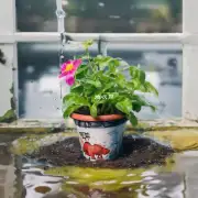 花盆里可以放水吗？如果是的话应该放置多少水分呢？