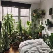 卧室里适合养哪些植物？