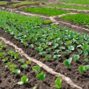 首先让我们明确一下什么是施肥？在植物学中施肥是指为土壤提供养分的过程或给作物添加营养物质以促进生长和发育的方法那么你希望了解哪些具体的施肥方法呢？