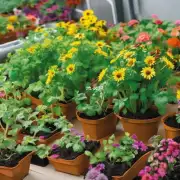 我们可以使用什么方法来调节室温以确保花朵健康生长？