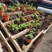 怎样准备新的花盆和土壤呢？