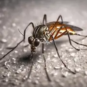 对于那些对化学药品过敏的人来说是否存在其他替代品用于驱赶蚊子或其他昆虫？
