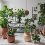 什么是最适合用于装饰房间的最佳植物类型？