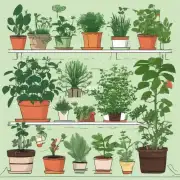 如果你打算在家中自己栽培一些盆景室内绿植等小型绿色植物你需要了解哪些因素才能保证你的植物生长良好并健康茁壮成长呢？