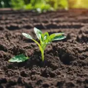 什么是最好的方式保持土壤湿润而不会导致过量水分积聚或引起其他有害后果的方法？