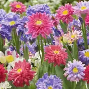 有哪些常见的节日鲜花可以使用来庆祝春节吗？