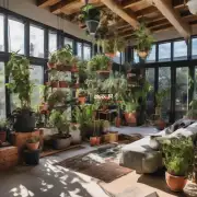 你觉得什么样的房子适合种植室内盆栽？