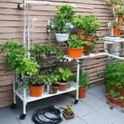 阳台上能否直接放置水培系统或滴灌系统的设备以提供水分给植物？