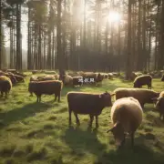 什么是畜牧业和林业产业？