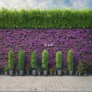 你认为墙微和其他植物相比有哪些优势或是劣势？