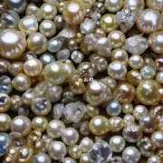 为什么有些珍珠吊兰会长出烂掉的珠子？