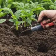 在我们所在的地区我们该如何判断土壤中的pH值以确定最适合某些特定植物的需求量以及最佳肥料类型？