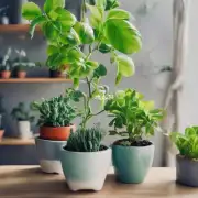有没有一些简单的方法可以保持植物的新鲜和健康状态？