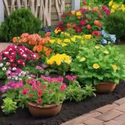 如果您在户外种植鲜花的话应该如何准备土地以及施肥的最佳时间表呢？