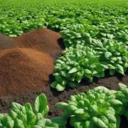 有哪些品牌的有机肥料适用于米兰的成长发育过程吗？