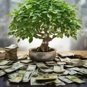 金钱树是一种植物吗？如果是的话它是什么科属名和学名呢？