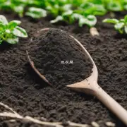 如何选择最适合米兰生长的最佳有机肥料类型和品牌？