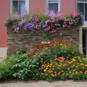 对于那些没有花园或者庭院的人来说有没有其他选择来观赏到漂亮的墙微花卉呢？