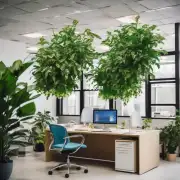 如何判断一种植物是否适合放置于工作场所内？