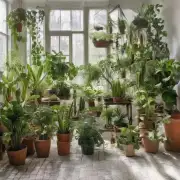 哪种类型的室内植物最易于养护且不易死亡？