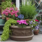 如何选择合适的花器和容器来展示植物？