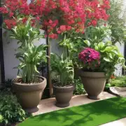 对于那些喜欢在室外花园中种植的人来说是否推荐将发财树和其他一些室内植物放在同一个花盆里呢？