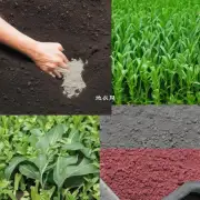 你应该避免哪些肥料并为什么？